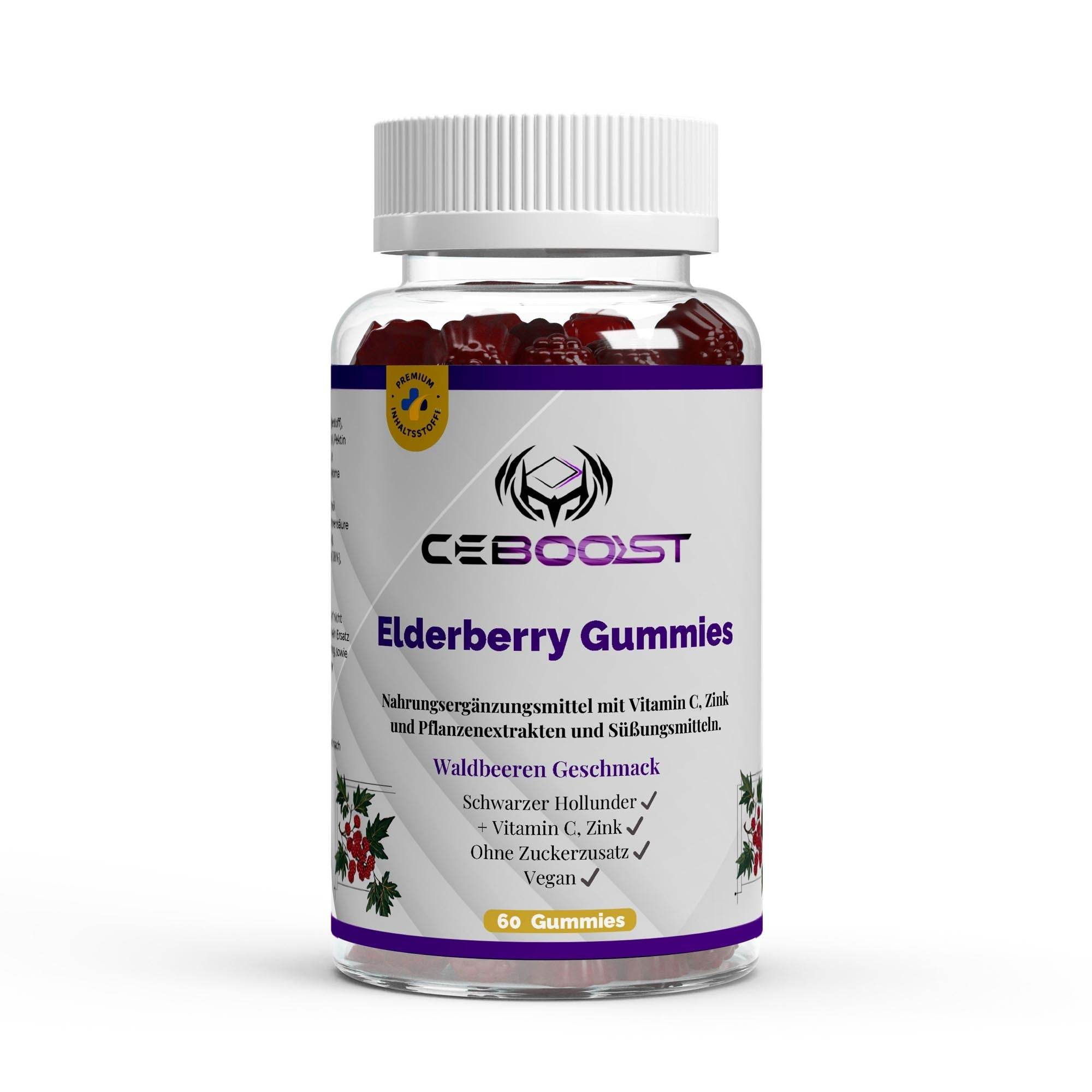THE PERFORMANCE SYSTEM - ceboost